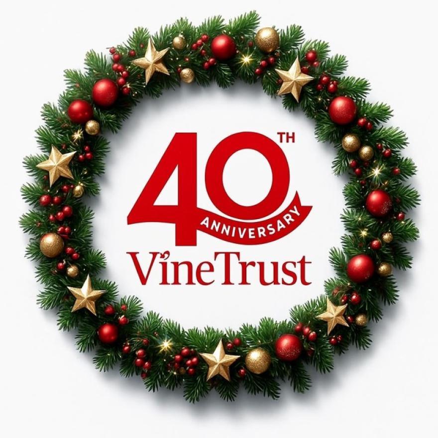 Support Vine Trust this Christmas!